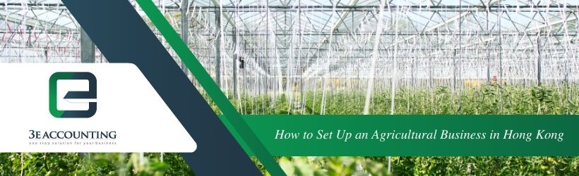 How to Set Up an Agricultural Business in Hong Kong