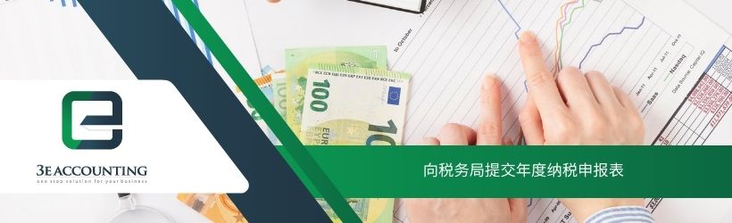 向税务局提交年度纳税申报表