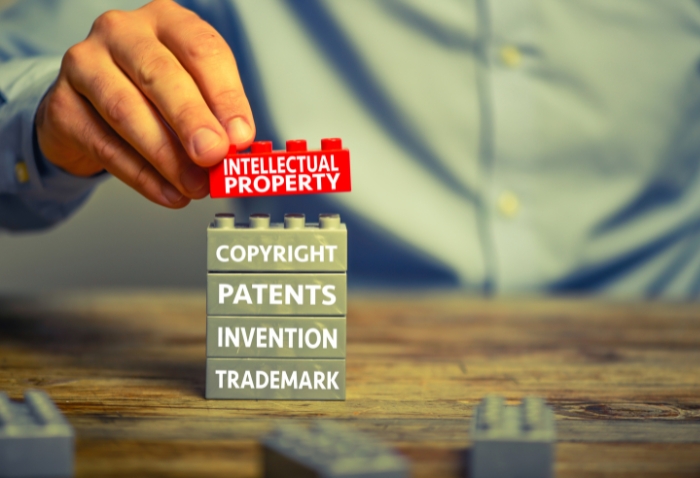 Navigating the Process of IP Rights Registration