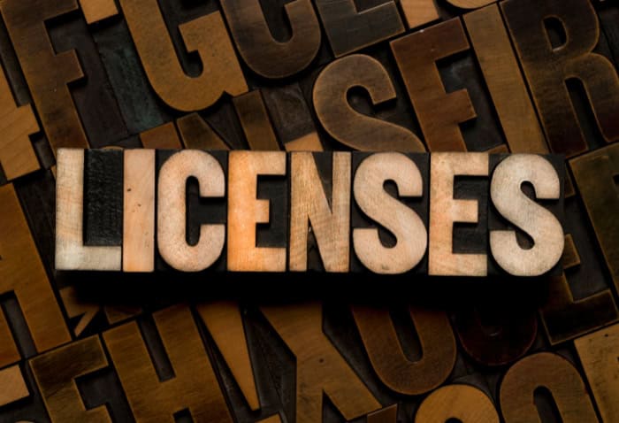 Understanding Hong Kong's Business Licensing Landscape
