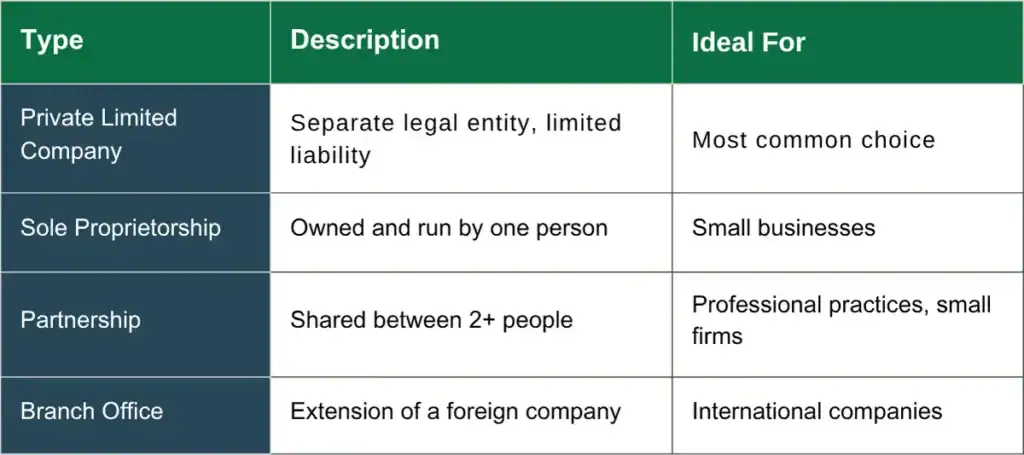 Table comparing four business types in Hong Kong by description and ideal use. 